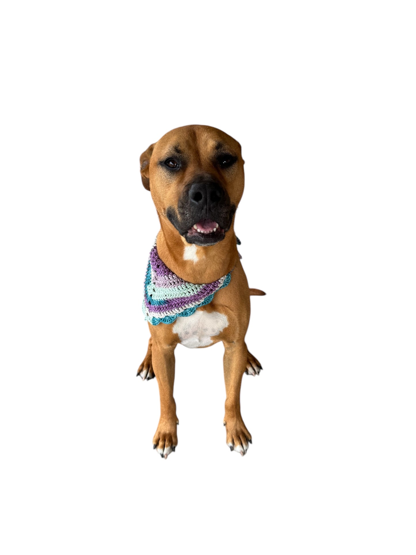 Lavender Meadows Bandana