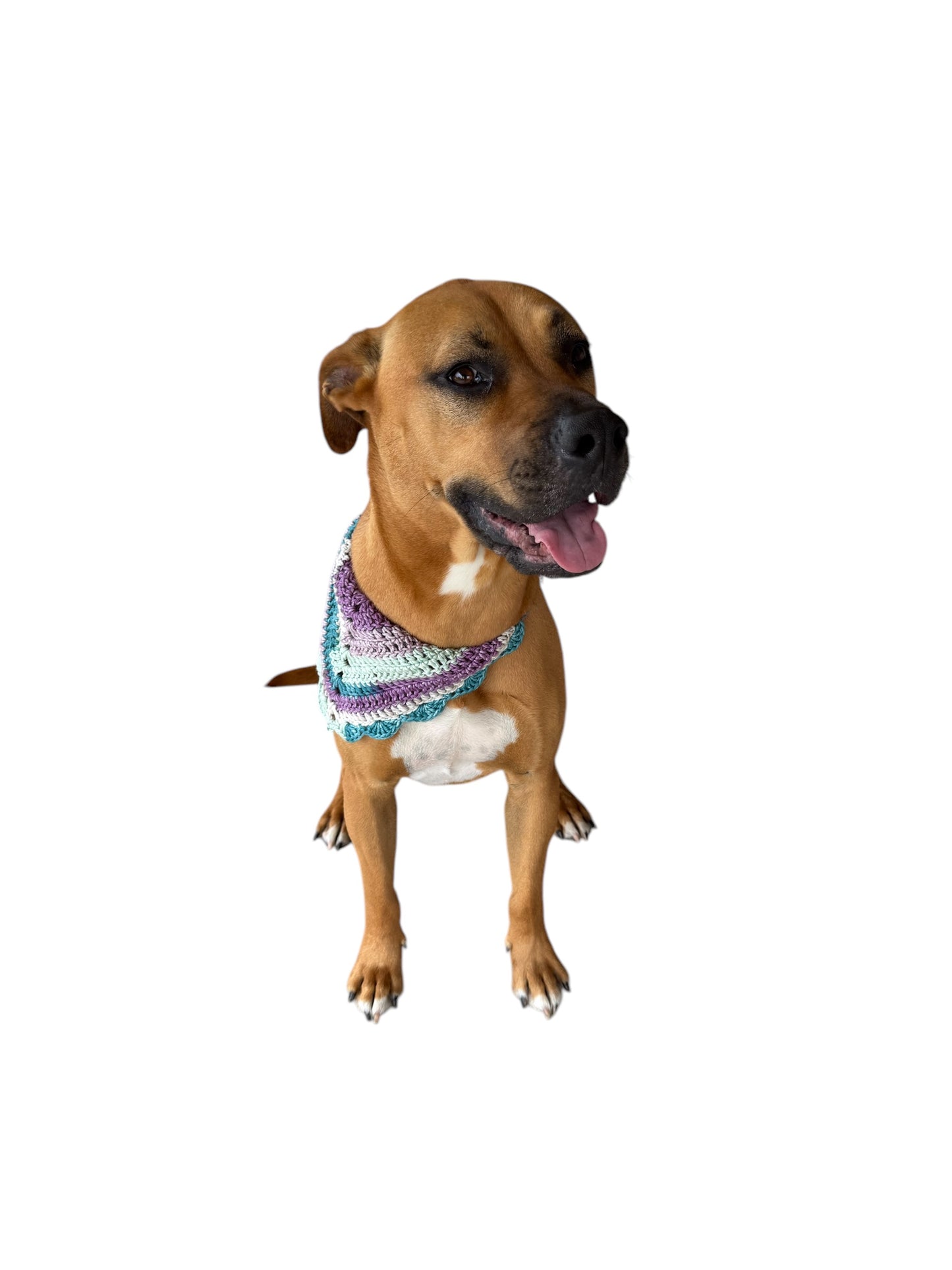 Lavender Meadows Bandana